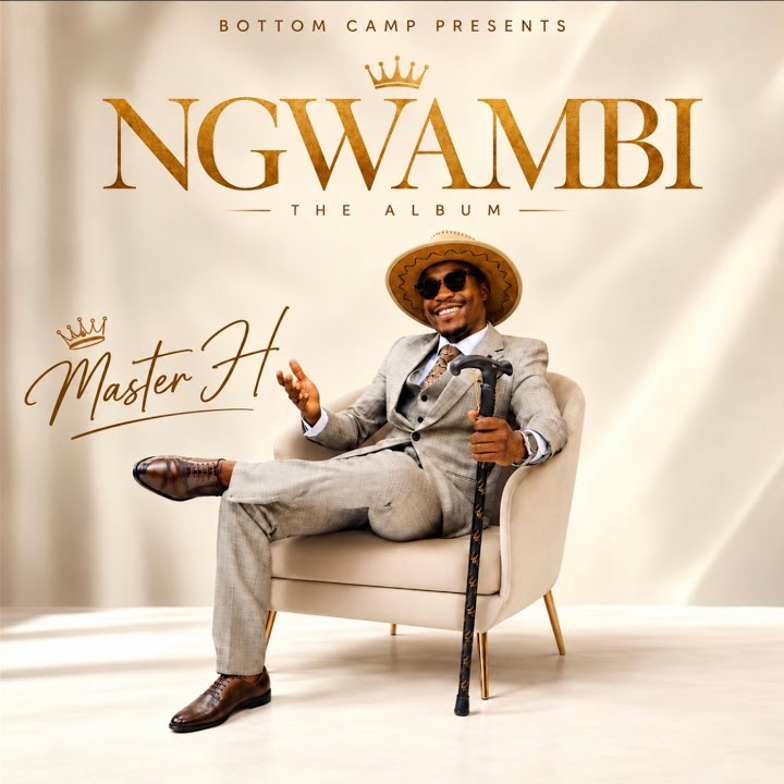 Master H – Ndinonaka (Album) 21 Master H – Level cover artwork